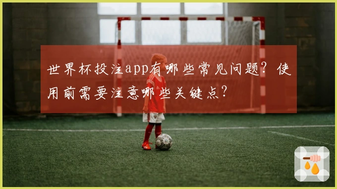 世界杯投注app有哪些常见问题？使用前需要注意哪些关键点？