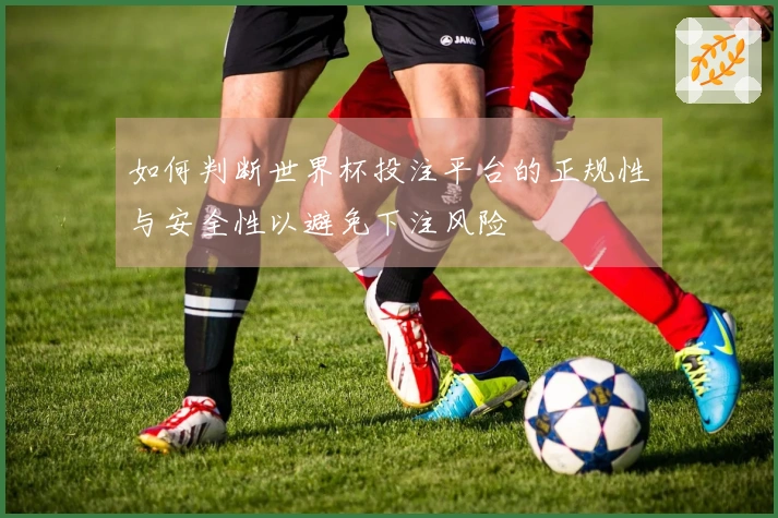 如何判断世界杯投注平台的正规性与安全性以避免下注风险