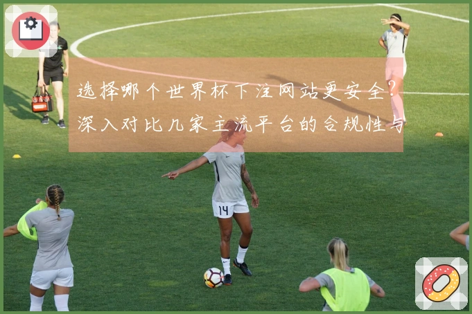 选择哪个世界杯下注网站更安全？深入对比几家主流平台的合规性与用户评价