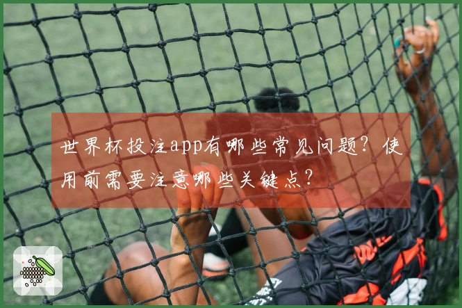 世界杯投注app有哪些常见问题？使用前需要注意哪些关键点？
