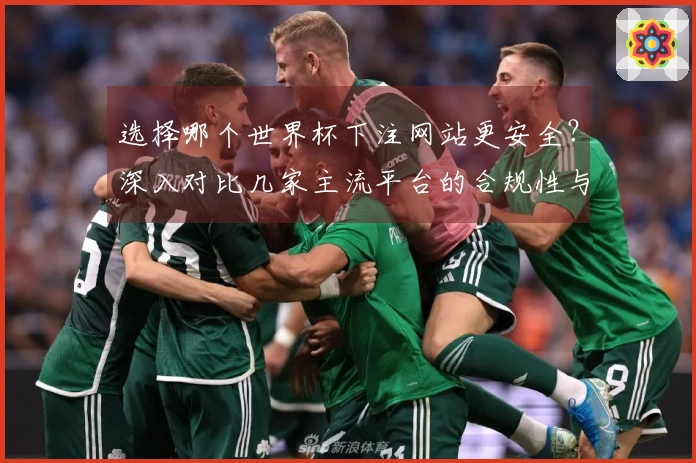选择哪个世界杯下注网站更安全？深入对比几家主流平台的合规性与用户评价